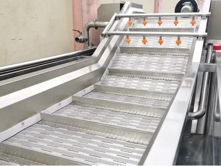 Lavadora de vegetais por borbulhamento com esteira, DRB-QX3000