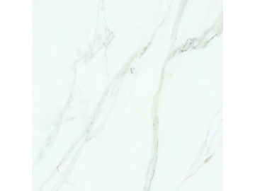 Porcelanato polido série White Marble