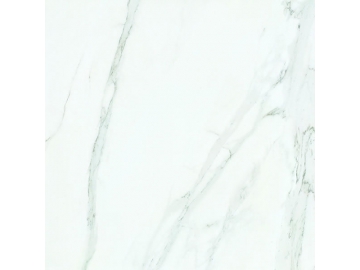 Porcelanato polido série White Marble