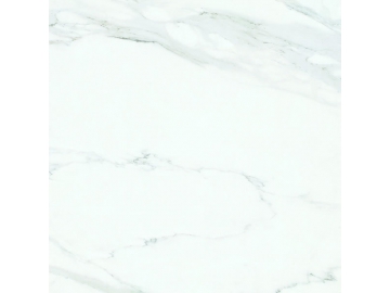 Porcelanato polido série White Marble