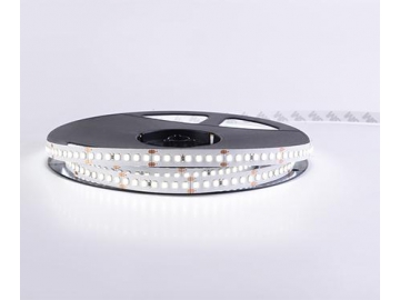 Mangueira LED flexível para interior  10mm 24V D8168