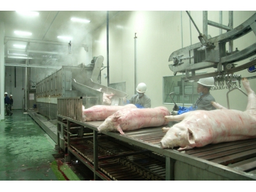 Processamento de carne suína para Chaishan Foods