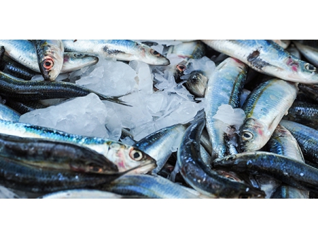 ESSENTION™ Astaxantina