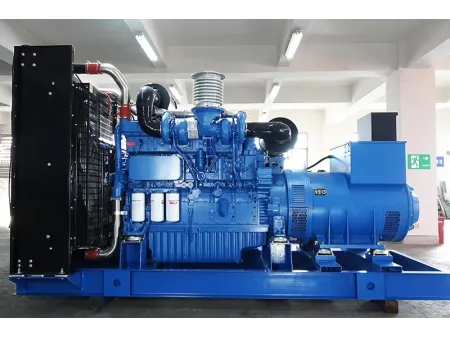 Grupo de geradores a diesel de 700kW-1000kW