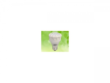 Holofote LED PAR 25W