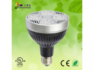 Holofote LED PAR 26W