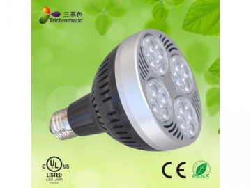 Holofote LED PAR 35W