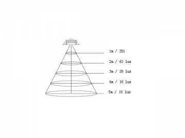 Down Light LED 6W