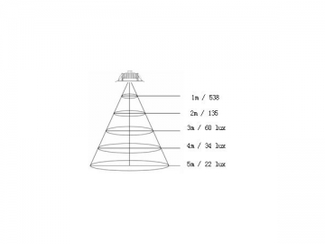 Down Light LED 10W