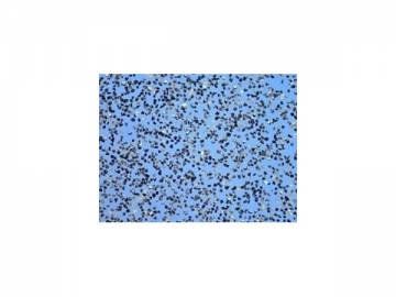 Nitreto cúbico de boro <small>(Micro grão de CBN)</small>