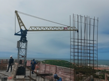 Grua ascensional