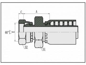 União de assento cônico 60°BSP