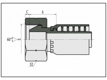 União de assento cônico 60°BSP