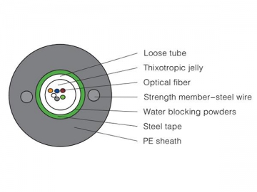 Cabo óptico de tubo central  (GYXTW)
