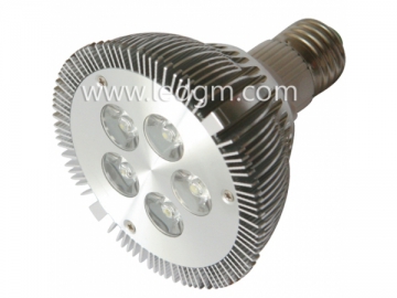 Lâmpada PAR LED 10W PAR30