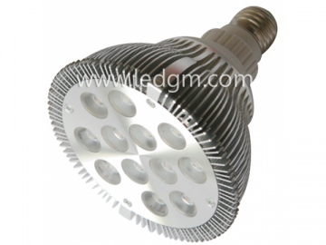 Lâmpada PAR LED 12*2W PAR38 de alto brilho