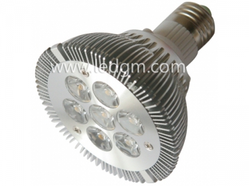 Lâmpada PAR LED 10W PAR30