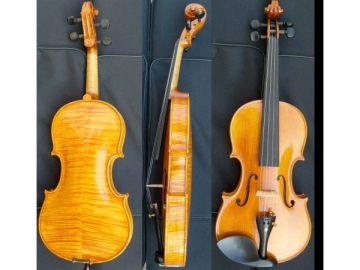 Violino alto grau